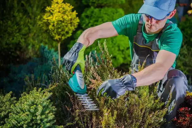 landscaping services Terry
